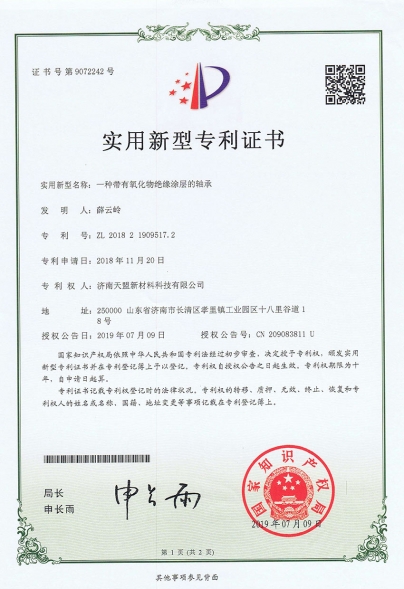 一种带有氧化物绝缘涂层的轴承